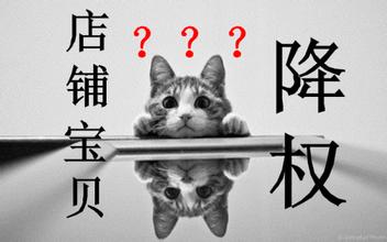 搜索降权的七大原因及处理方法-THE FREE SKY