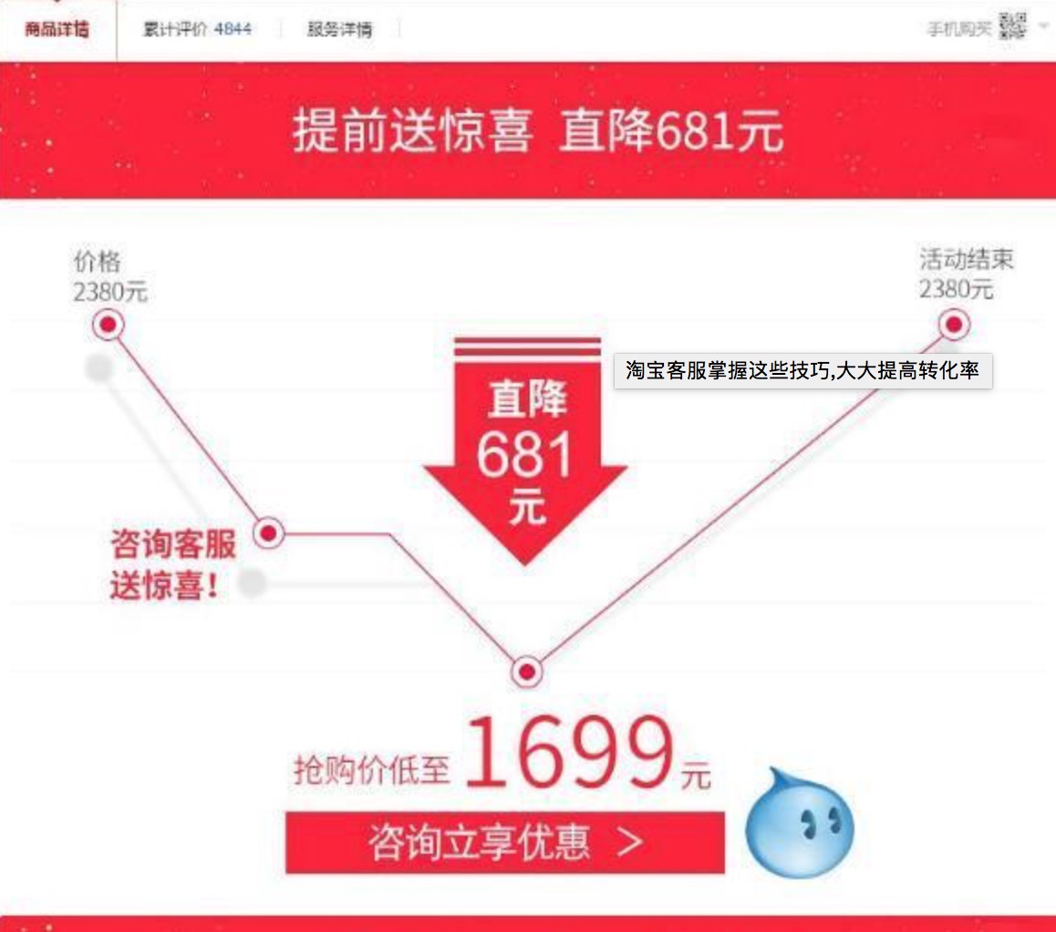 淘宝客服掌握这些技巧，大大提高转化率。-THE FREE SKY